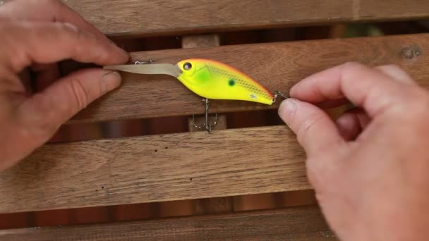 Wobbler Uma Grande Isca Peixe Brilhante Para Captura Peixes Predadores — Vídeo de Stock