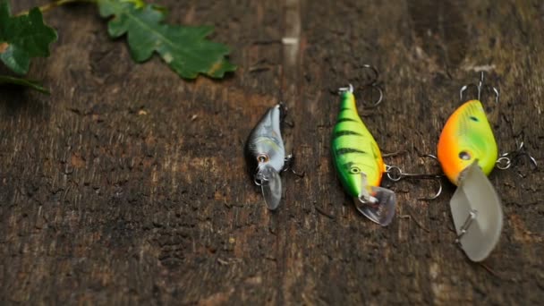 Cebo Para Captura Lucioperca Otros Peces Depredadores — Vídeos de Stock