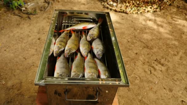 Palacz Wypełniony Okoniem Ryba Człowiek Zamyka Pokrywę Przed Rozpoczęciem Gotowania — Wideo stockowe
