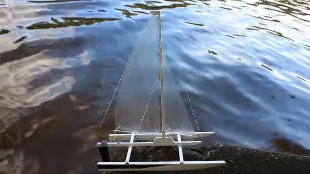 川沿いのカタマランのセーリング子供のおもちゃのセーリングボート — ストック動画