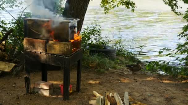 Κάπνισμα Ψαριών Καπνιστήριο Φωτιά Στην Πίσω Αυλή Δίπλα Στο Ποτάμι — Αρχείο Βίντεο