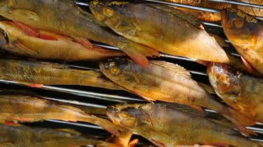 Tütsülenmiş levrek yığını, yakın çekimden sonra soğuyor.