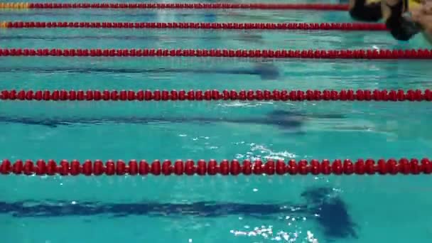 Schwimmwettbewerb Start und Ziel — Stockvideo