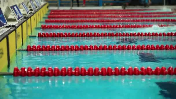 Freestyle natación turno — Vídeo de stock