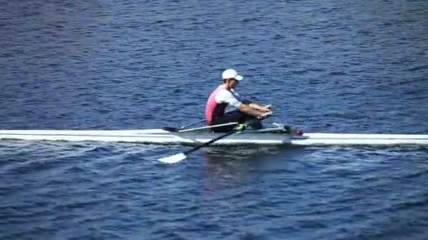 Single scull rowing — Stock Video