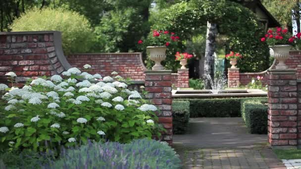 Paesaggio giardino con fontana — Video Stock