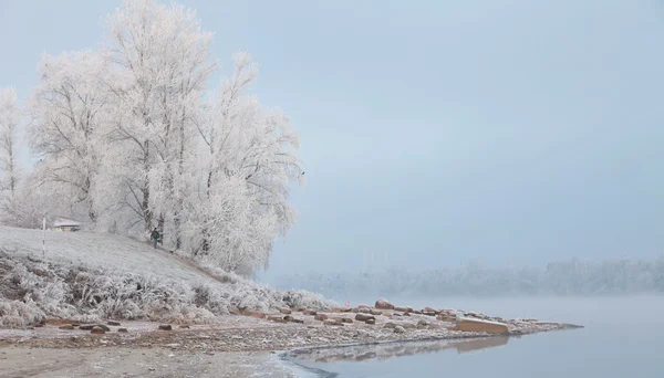 Зимний утренний туман — стоковое фото