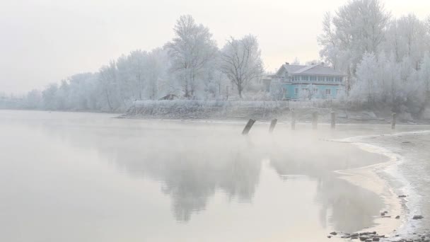 Nebbia mattutina — Video Stock