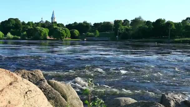 급속 한 강 새 — 비디오