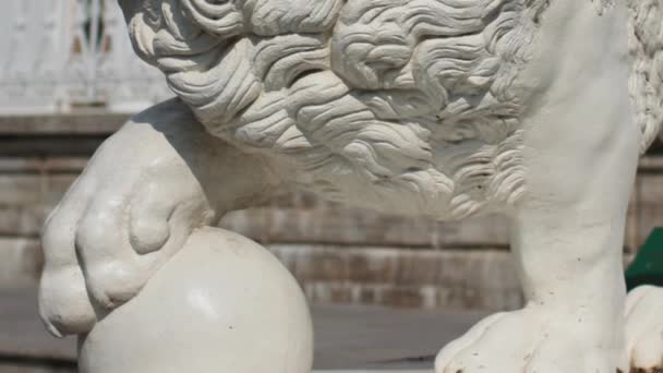 León poderoso con escultura de pelota — Vídeos de Stock