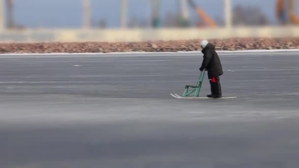 芬兰语踢雪橇 — 图库视频影像