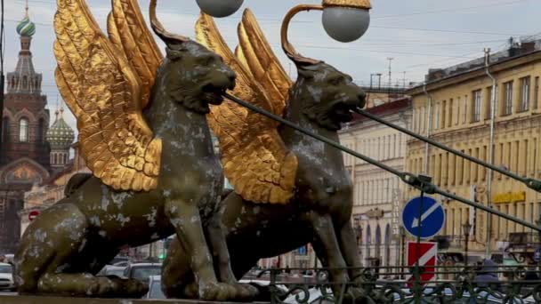 Griffins bewaken de St. Petersburg — Stockvideo