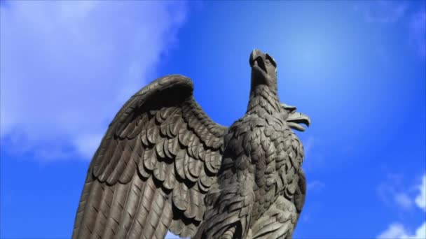 Double headed eagle spreads its wings — Stock Video