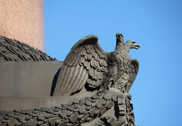 双的白头的鹰亮翅 免版税图库图片