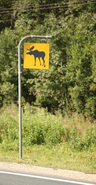 Road sign attention elk — Stock Photo, Image
