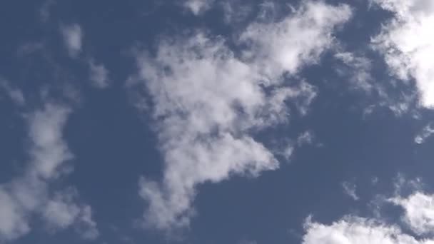 Kumulus weiße Wolke Zeitraffer — Stockvideo