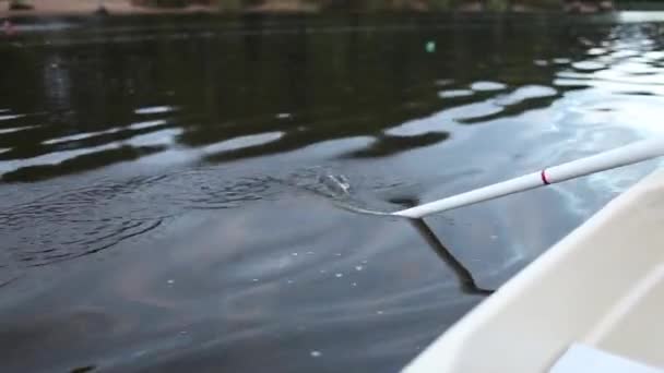 オール手漕ぎボート — ストック動画