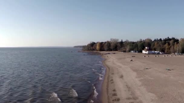 Boş plaj üzerinde uçan — Stok video
