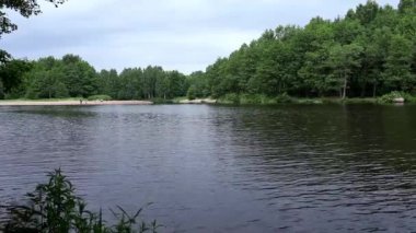yuvadan uçmak wagtails
