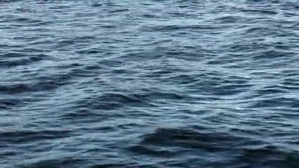 海の波のカメラの動き — ストック動画