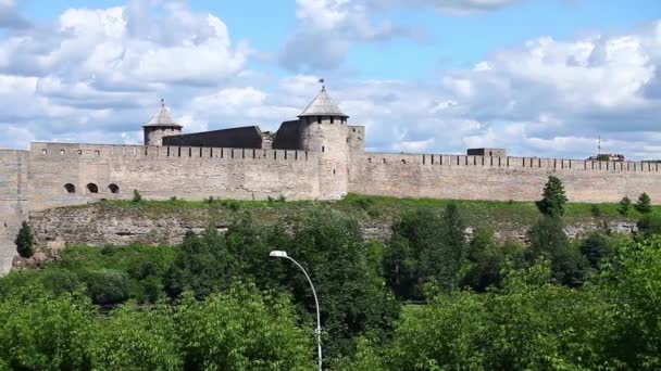 Panoramautsikt över fästningen Ivangorod — Stockvideo