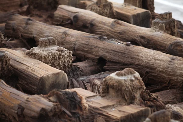 Wooden foundation piles — Stock Photo, Image