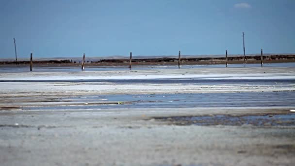 Lago de sal Baskunchak — Vídeo de stock