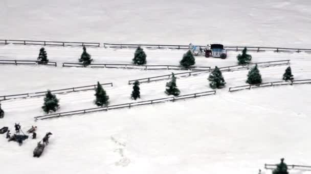 Paard getrokken sleeën op besneeuwde weg — Stockvideo
