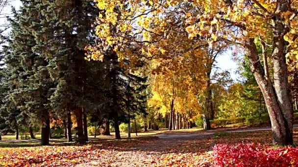sentier pédestre automne paysage 