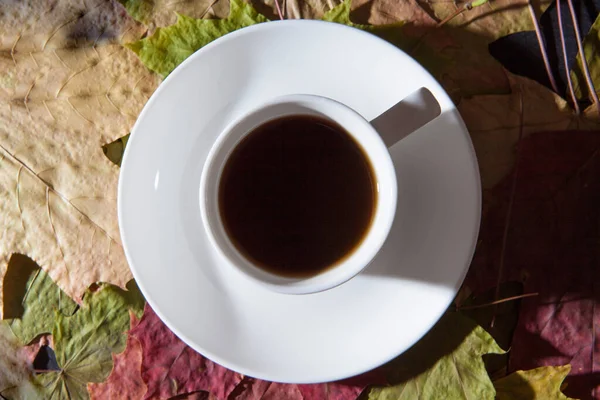 Autumn sad mood expressed by maple leaves and a cup of coffee