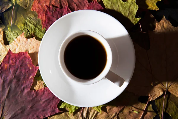 Herbsttraurige Stimmung Durch Ahornblätter Und Eine Tasse Kaffee — Stockfoto