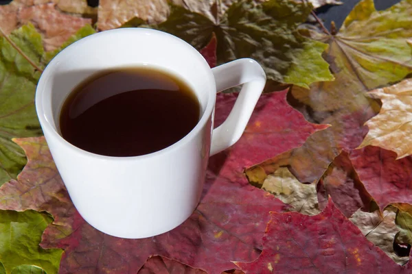 Autumn sad mood expressed by maple leaves and a cup of coffee