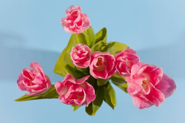 Bahar çiçekleri laleler mavi arkaplan fotokopi alanı şablonunda renkli şenlik buketi