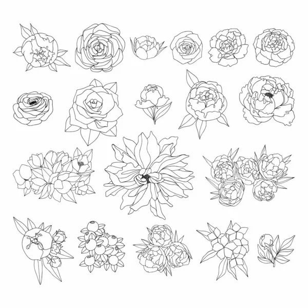 Sada Obrysových Květin Lineární Kresba Vektorová Ilustrace — Stockový vektor