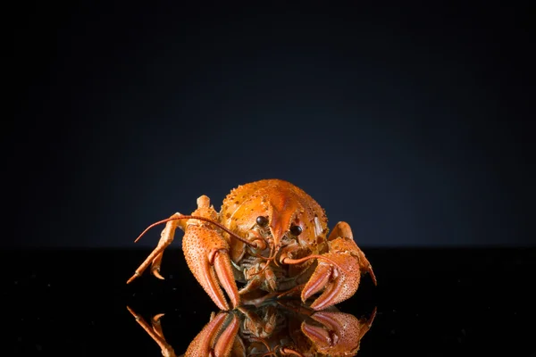 Delicious roasted red cancer on the table. — Stock Photo, Image