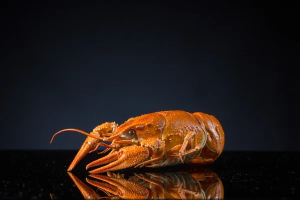 Délicieux cancer rouge rôti sur la table . — Photo