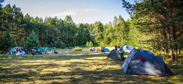 Tents in the tourist camp in a forest glade. — Stock Photo, Image