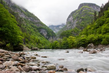 Nehir orman kaplı dağlarda.