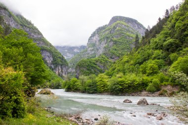 Nehir orman kaplı dağlarda.