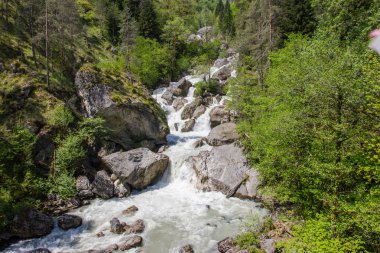 Kayaların acele su.