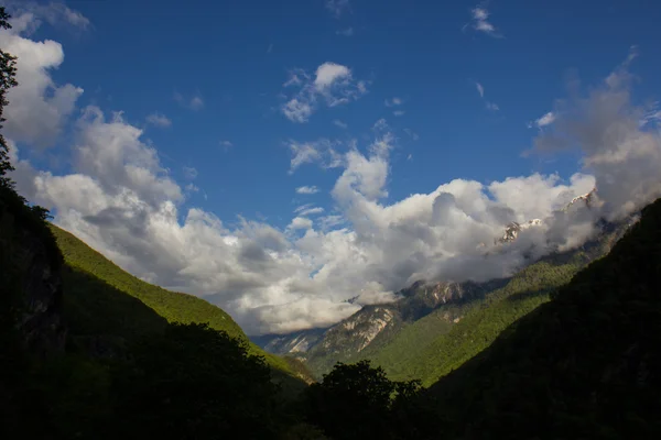 Кавказький гори, вкриті лісами. — стокове фото