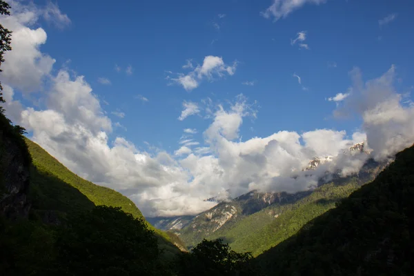 Кавказький гори, вкриті лісами. — стокове фото
