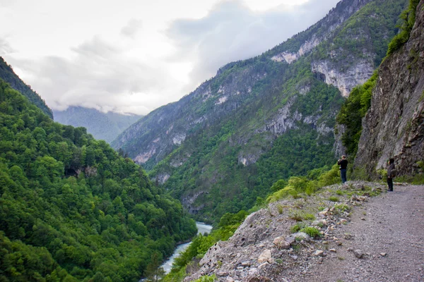 Кавказький гори, вкриті лісами. — стокове фото