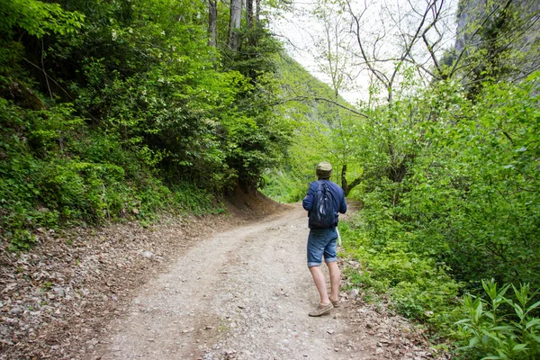 Homem na estrada em uma floresta de montanha . — Fotografia de Stock