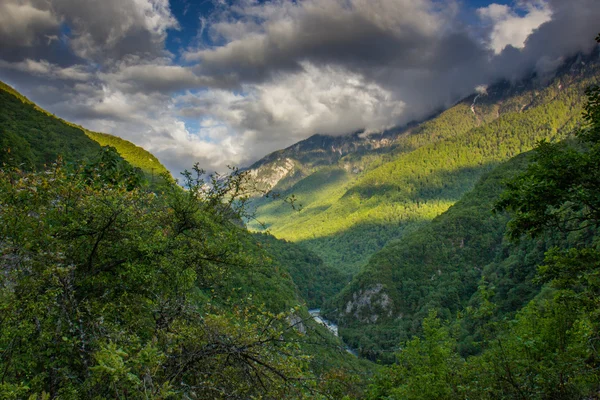 Kaukázusi hegyek, erdők borítják. Stock Kép