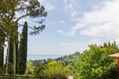 kıyı şeridi mavi gökyüzü ile 