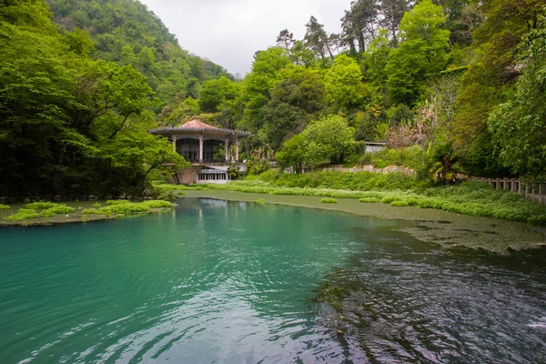 Árbol en el lago con agua azul . —  Fotos de Stock