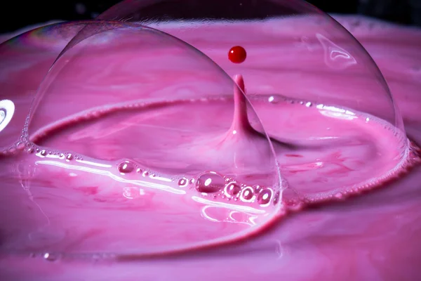 Skvätt mjölk släppa i rosa färg under buble. — Stockfoto