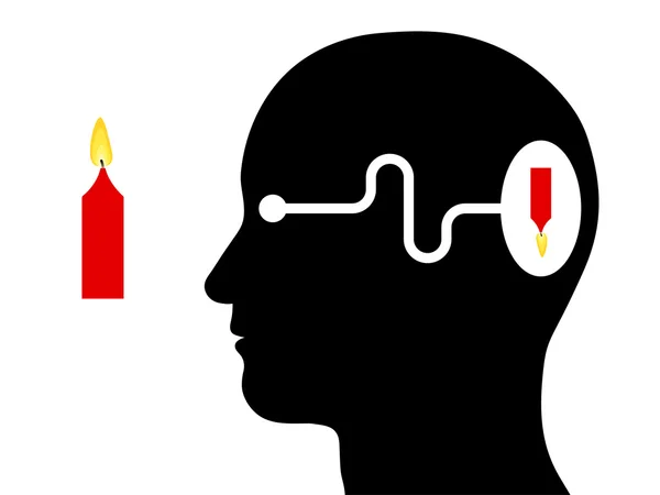 Diagrama que muestra la percepción visual en un ser humano — Vector de stock