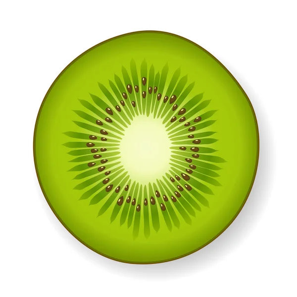 Verde fruta fresca y jugosa kiwi en blanco — Archivo Imágenes Vectoriales